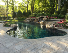 Pool Gallery 26